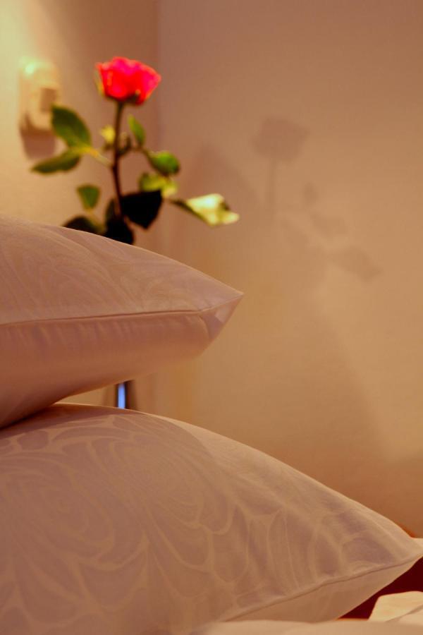 Apartments Amore بول المظهر الخارجي الصورة